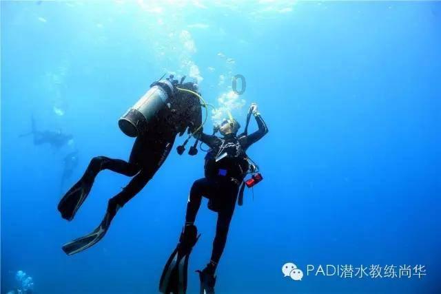 极限巅峰